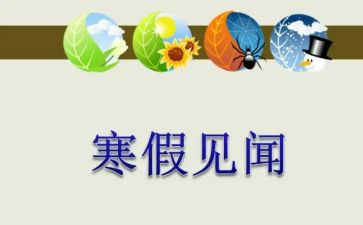 开学见闻的作文6篇