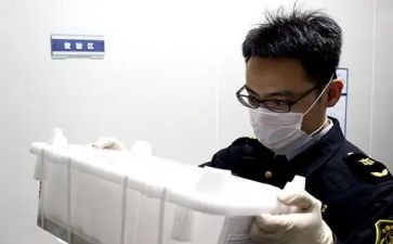 检疫工作总结5篇