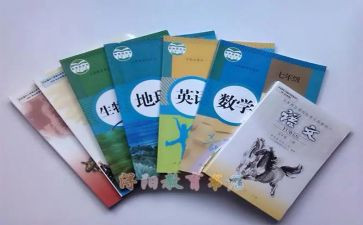 区基教科工作总结最新7篇