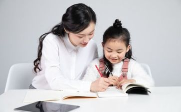 个人年度教师工作总结范文模板5篇