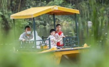 幼儿园去郊游教案反思5篇