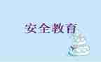 2023教育安全工作总结范文6篇
