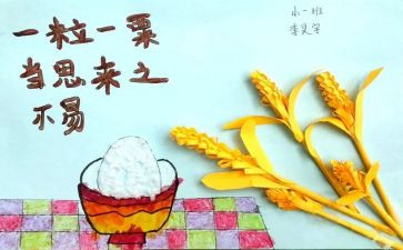 爱粮节粮主题活动总结5篇