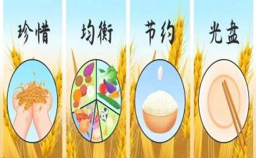 节粮爱粮事迹7篇