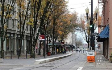 关于调查街头的调查报告模板7篇