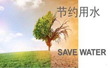 节约粮演讲稿优秀5篇