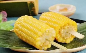 种玉米工作工作总结7篇