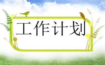 计划员半年度总结6篇