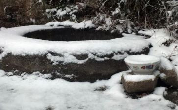 坐井观天教学反思教学反思参考6篇