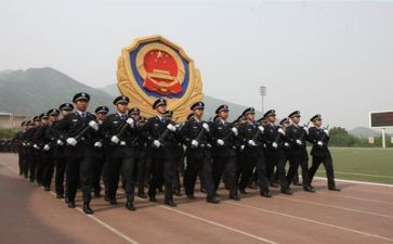 2024警察个人总结年度个人总结7篇