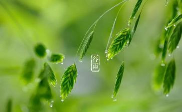 24节气的心得体会7篇