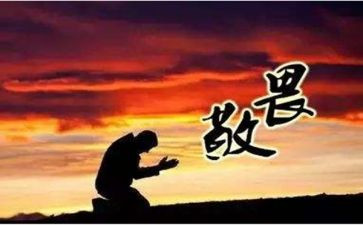 敬畏自然敬畏生命作文8篇