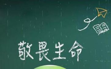 敬畏生命,作文5篇