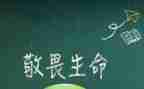 敬畏生命,作文5篇