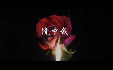 镜中的我作文600字8篇