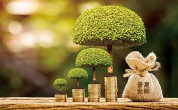 2023金融办工作总结优秀5篇