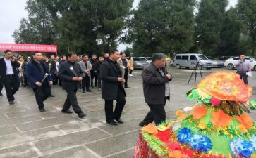 祭扫活动方案8篇