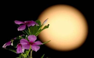 学生会九月份工作总结5篇