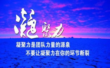 团队的凝聚力心得体会6篇