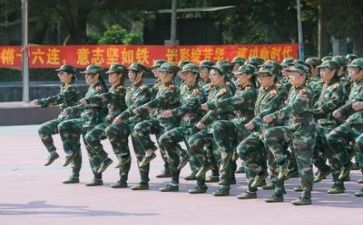 军训心得体会作文五百字8篇