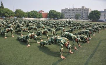 军训感想心得体会优质5篇