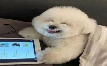 我真开心作文500字7篇
