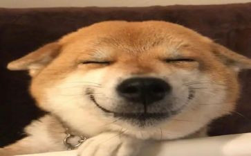 令我开心的人作文8篇