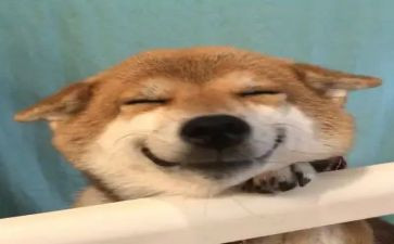 开心的端午节作文500字8篇