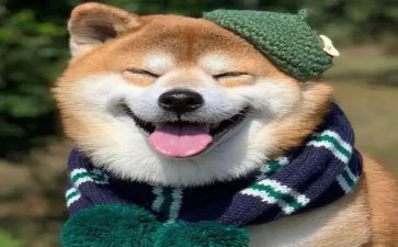 开心的一刻作文5篇