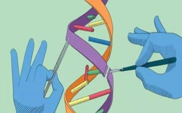 写科学小实验的作文参考7篇