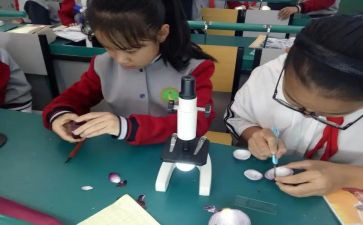 小学科学课工作总结范文8篇