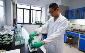 教师科研个人总结范文7篇
