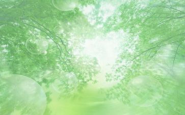 调查空气质量的调查报告5篇