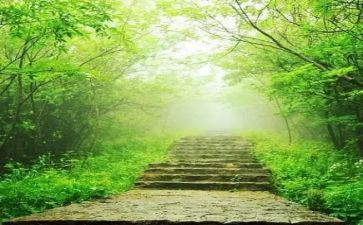 我的苦与乐400字作文优质6篇
