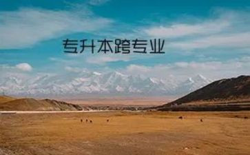 跨专业心得体会最新5篇