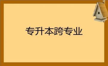跨专业就业调研报告6篇