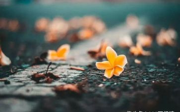 愧疚为话题作文5篇