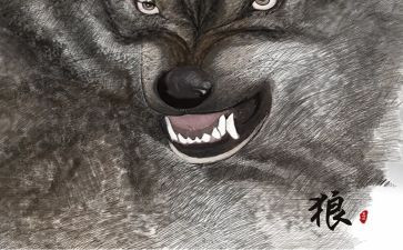 《狼》的读后感300字最新5篇