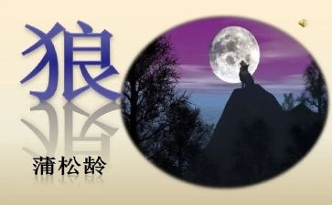 《狼》的读后感100字模板7篇