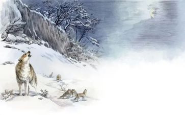 狼王梦读后感小学生400作文7篇