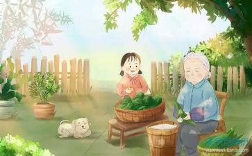 与姥姥的作文600字推荐6篇