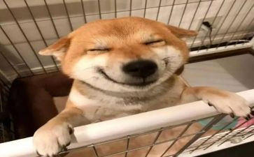 乐在读书演讲稿优质7篇