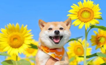 嗯读书的快乐演讲稿通用8篇