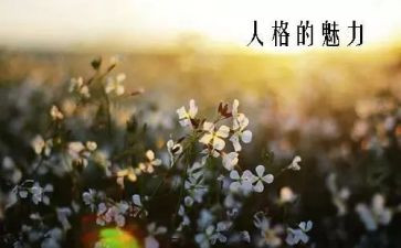 魅力的作文800字8篇