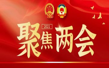 政府两会工作报告8篇