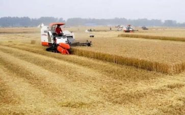 全国粮食安全宣传周活动总结8篇