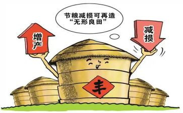 国际粮食节演讲稿6篇