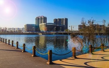 聊城市党代会心得体会5篇