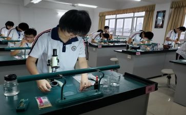 理化生工作计划最新5篇