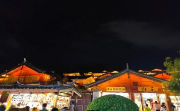 写丽江古城的作文6篇